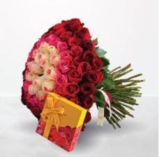 باكدج 7